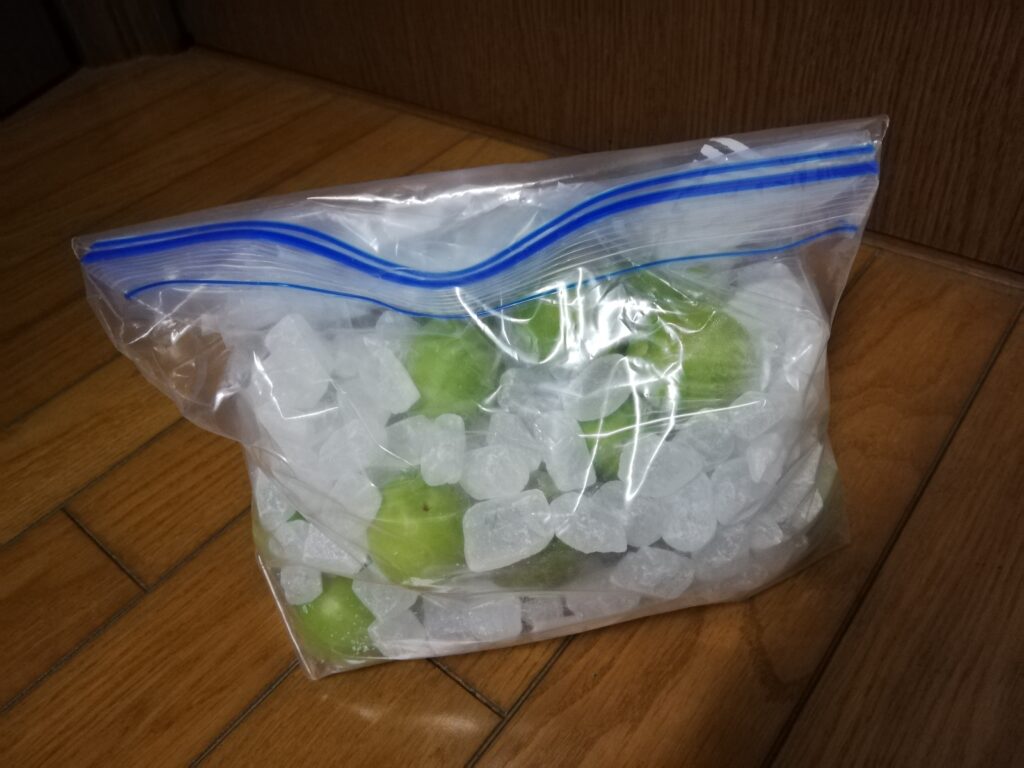 マチ付きバッグで梅シロップ作り