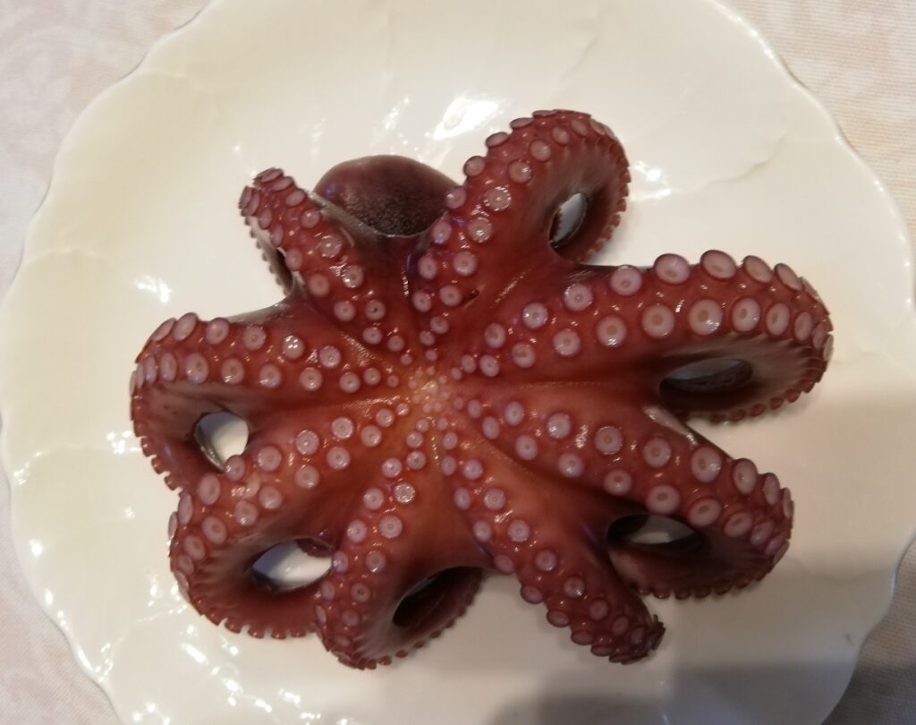 下処理をしたタコ